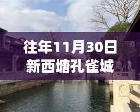 新西塘孔雀城隐秘小巷美食秘境探秘之旅,最新消息揭秘美食秘境的神秘面纱