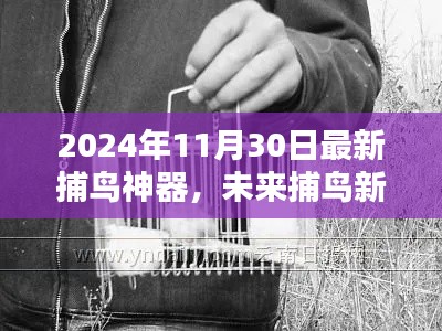 揭秘,2024年顶级捕鸟神器,开启未来捕鸟新纪元