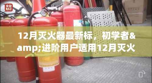 12月灭火器最新标准使用指南,初学者与进阶用户通用