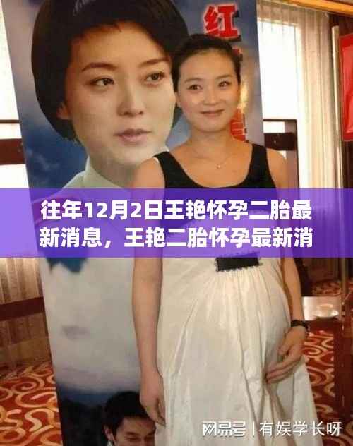 王艳二胎最新消息全面解读,产品特性、用户体验与目标用户分析