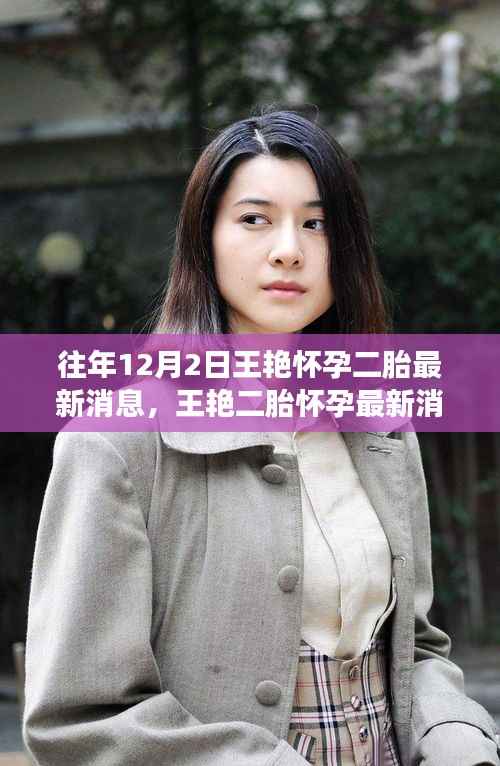 王艳二胎最新消息全面解读,产品特性、用户体验与目标用户分析