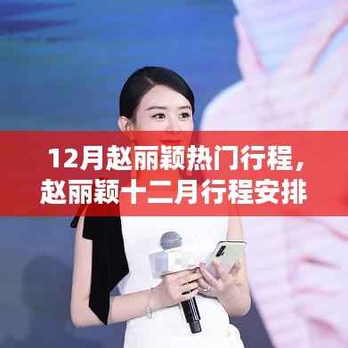 赵丽颖十二月行程安排深度解析与介绍