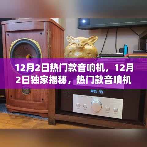 揭秘热门音响机魅力与选购指南,12月独家推荐