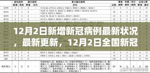 12月2日全国新冠病例最新状况概览及最新更新