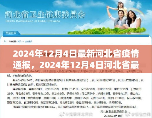 河北省最新疫情通报,全面防控与积极应对(2024年12月4日更新)