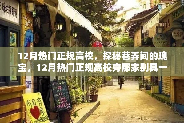 探秘巷弄间的瑰宝,十二月热门高校旁的小店风采