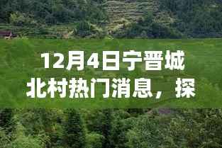 探寻宁晋城北村秘境,与自然美景的邂逅,热门消息揭秘!