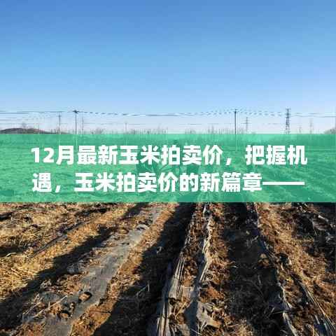 把握机遇,最新玉米拍卖价变化中的新篇章,自信成就梦想