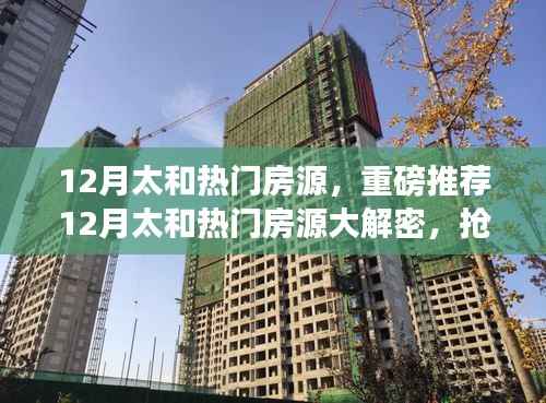 12月太和热门房源抢购黄金地段好房,大解密与推荐
