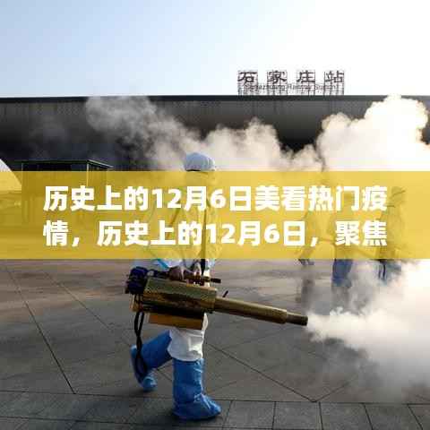 历史上的12月6日疫情深度观察,聚焦发展及影响探讨