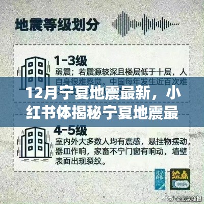 宁夏地震最新动态揭秘,小红书深度解析地震真相