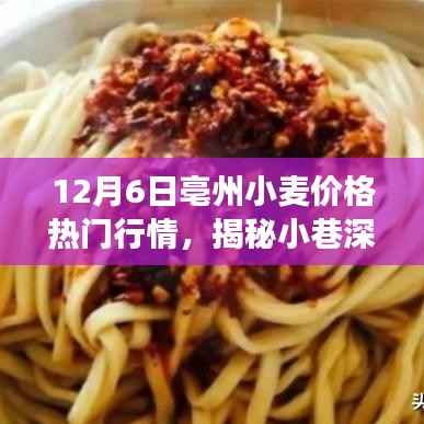 揭秘亳州小麦行情热门行情下的面食文化与宝藏面食体验