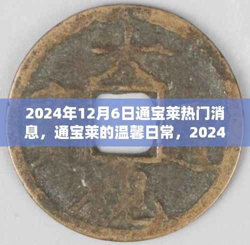 通宝莱2024年12月6日,温馨日常与奇遇友情的交织