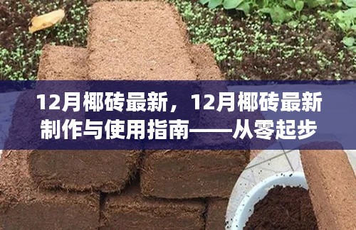 从零起步到熟练应用,12月椰砖最新制作与使用指南