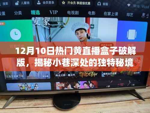 揭秘黄直播盒子破解版背后的独特秘境，特色小店探秘之旅
