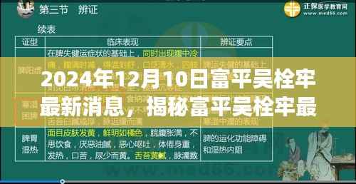 揭秘富平吴栓牢最新消息,获取与解读信息的初学者与进阶用户指南(2024年12月10日更新)