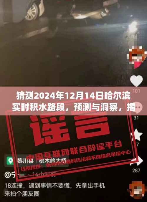 揭秘哈尔滨未来积水路段预测,以2024年12月14日积水路段分析为例的洞察与预测