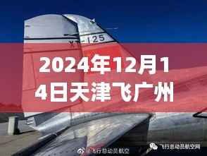 天津飞往广州的爱的航班上的暖心故事,2024年12月14日实时更新