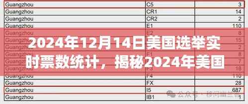 揭秘2024年美国大选实时票数统计背后的故事，选举如何塑造未来？