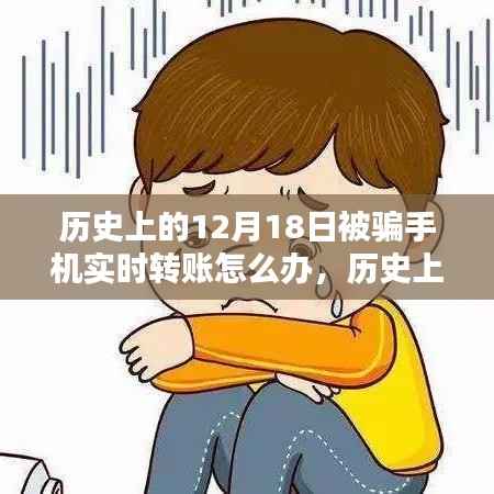 历史上的12月18日,手机实时转账被骗应对策略探讨