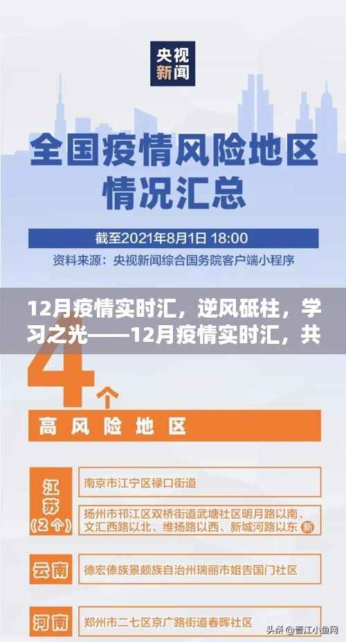 逆风砥柱,学习之光,12月疫情实时汇报,共筑希望桥梁