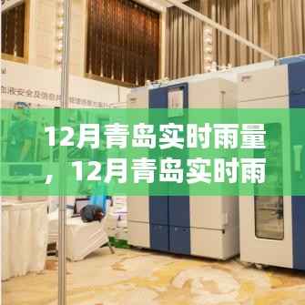 青岛十二月实时雨量分析,气候数据、案例研究及影响探讨