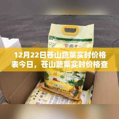 12月22日苍山蔬菜实时价格表及查询指南,初学者与进阶用户适用