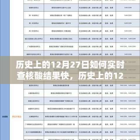 历史上的12月27日，核酸结果实时查询系统深度评测与快速查询技巧