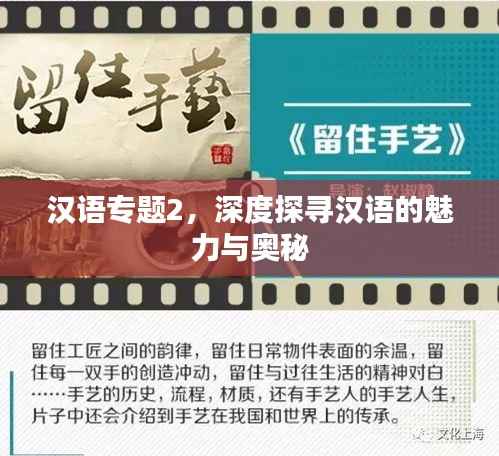 汉语专题2,深度探寻汉语的魅力与奥秘