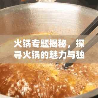 火锅专题揭秘,探寻火锅的魅力与独特风味!