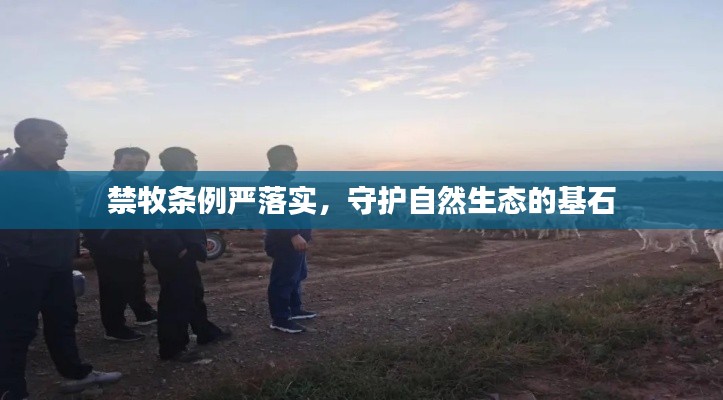 一言九鼎 第4页