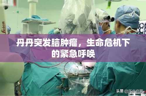 丹丹突发脑肿瘤,生命危机下的紧急呼唤