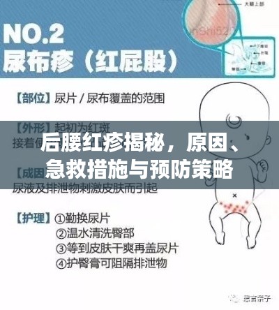 学贯中西 第3页