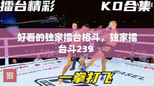 好看的独家擂台格斗，独家擂台斗239 