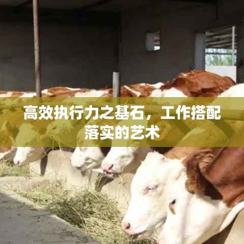 高效执行力之基石,工作搭配落实的艺术