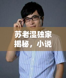 苏老湿独家揭秘,小说里面有老苏