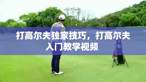 打高尔夫独家技巧,打高尔夫入门教学视频