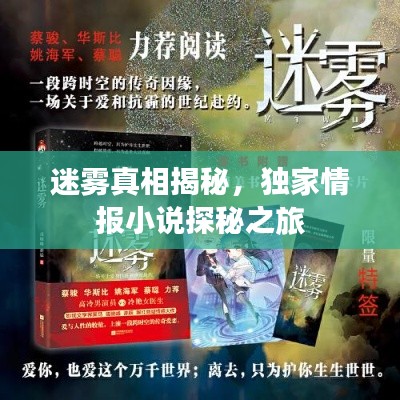 迷雾真相揭秘,独家情报小说探秘之旅