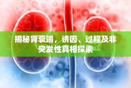 揭秘肾衰竭,诱因、过程及非突发性真相探索