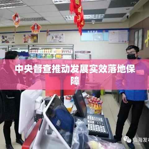 中央督查推动发展实效落地保障
