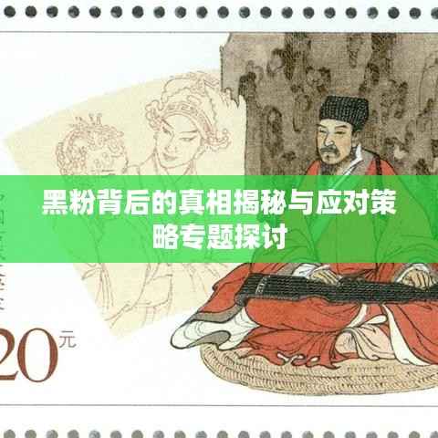 黑粉背后的真相揭秘与应对策略专题探讨