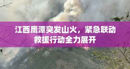 江西鹰潭突发山火,紧急联动救援行动全力展开
