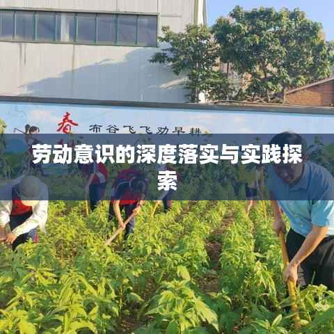 劳动意识的深度落实与实践探索