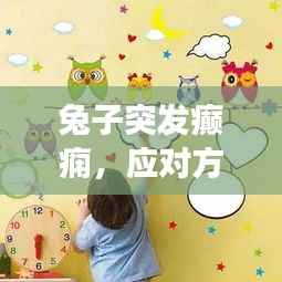 兔子突发癫痫,应对方法、关爱与注意事项