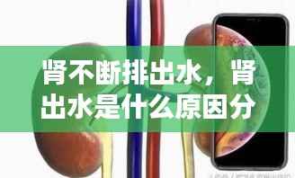 肾不断排出水,肾出水是什么原因分析