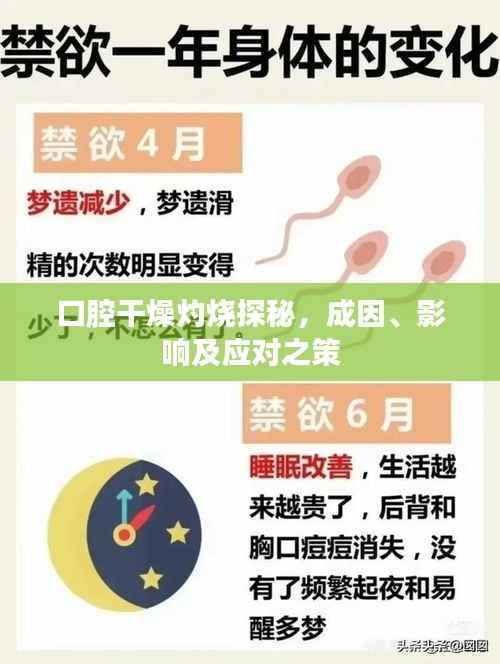 口腔干燥灼烧探秘,成因、影响及应对之策