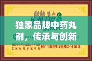 独家品牌中药丸剂,传承与创新融合,品质与健康同行