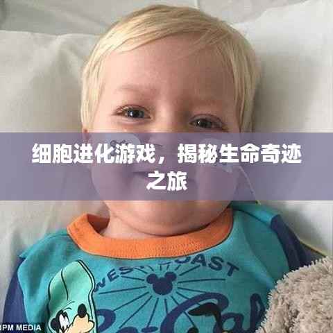 gaotankuolun 第3页