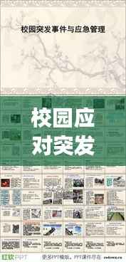 校园应对突发事件管理,校园突发事件处理原则