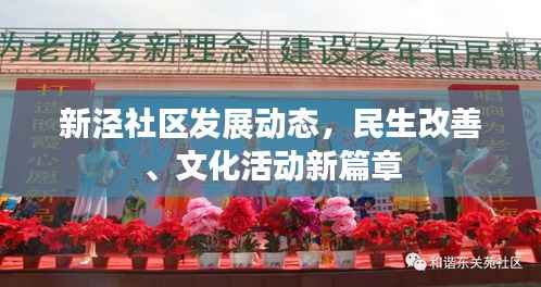 新泾社区发展动态,民生改善、文化活动新篇章